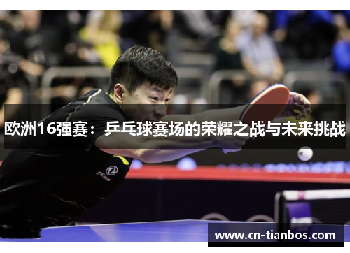 欧洲16强赛：乒乓球赛场的荣耀之战与未来挑战