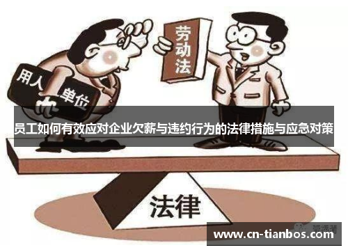 员工如何有效应对企业欠薪与违约行为的法律措施与应急对策