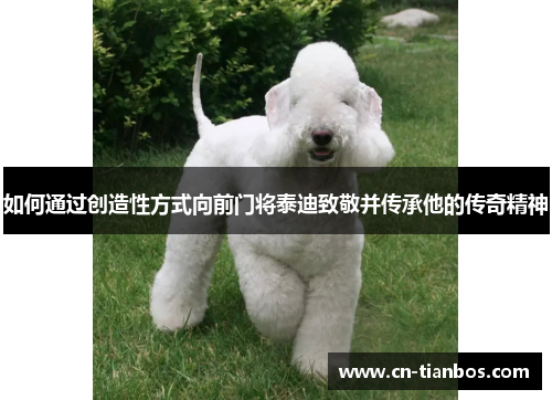 如何通过创造性方式向前门将泰迪致敬并传承他的传奇精神